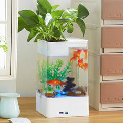 Desktop Fish aquarium