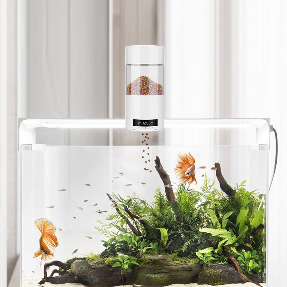 Automatic fish feeder