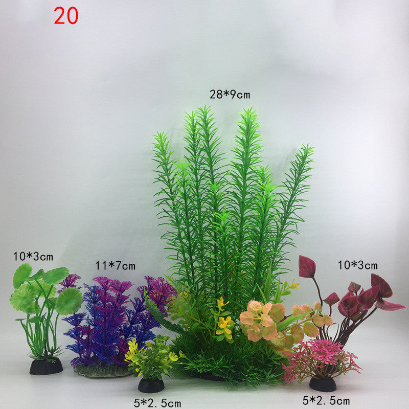 Plants for the aquarium