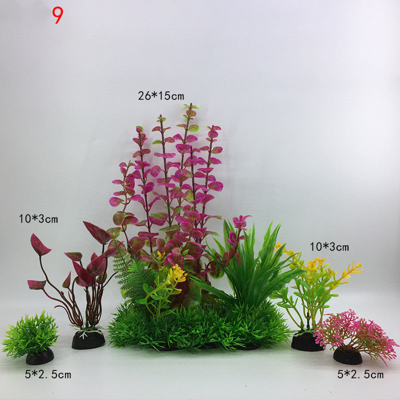 Plants for the aquarium