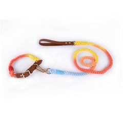 Fashion Personality Woven Leather Pet Dog Leash