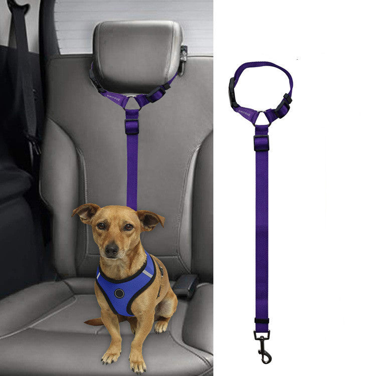 Car Backseat Pet Leash