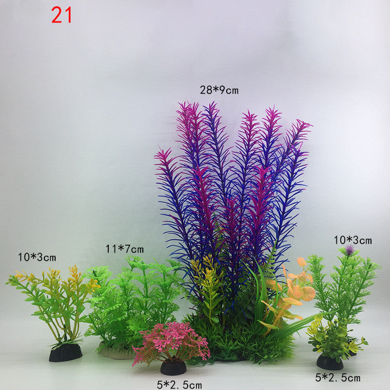 Plants for the aquarium