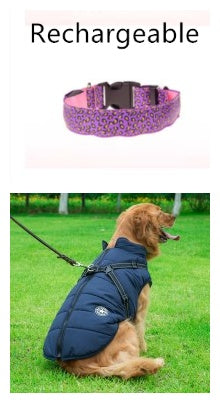 LED Dog Collar