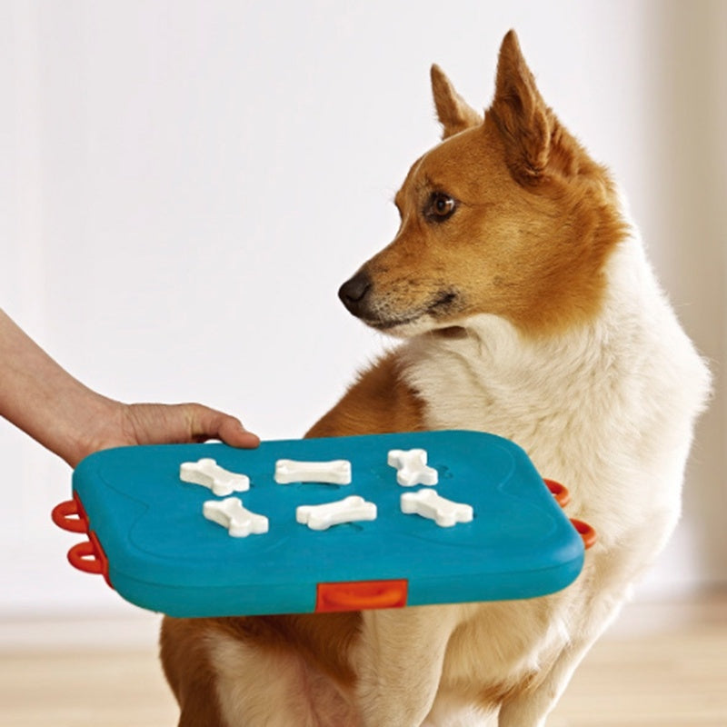 Dog toy plate