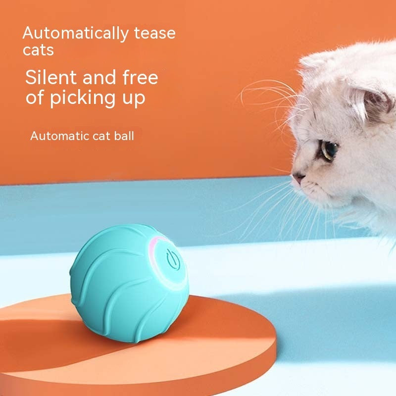 Smart Cat Toys