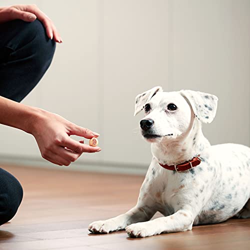 Milk-Bone MaroSnacks Dog Treats, Beef, 40 Ounce with Real Bone Marrow and Calcium