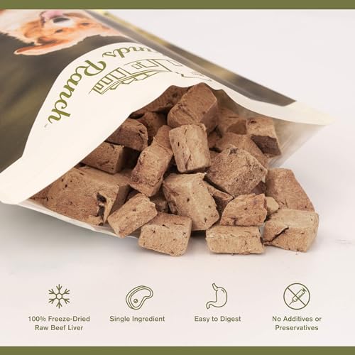 BADLANDS RANCH by Katherine Heigl- Superfood Bite, Freeze-Dried Raw Dog Treats - Protein Rich, Train & Reward, Traceable Single Ingredient (Beef Liver)