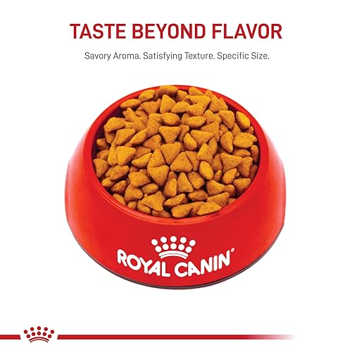 Royal Canin Indoor Adult Dry Cat Food, 7 lb.