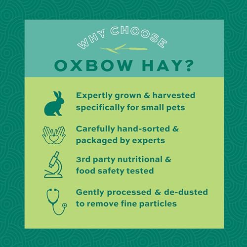 Oxbow Animal Health Orchard Grass Hay - All Natural Grass Hay for Chinchillas, Rabbits, Guinea Pigs, Hamsters & Gerbils - 15 oz.