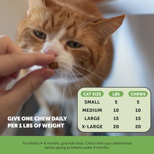 Pet Honesty Cat Hairball Support Chews, Hairball Remedy Cat Treats, Cat Furball Treatment, Supports Skin & Coat, Digestion, Cat Vitamins & Supplements & Hairball Medicine, Chicken (30-Day Supply)