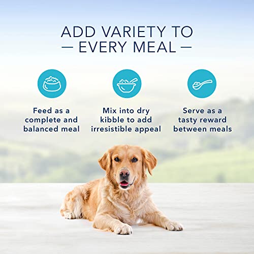 Blue Buffalo Homestyle Recipe Natural Adult Wet Dog Food Variety Pack, Chicken & Beef 12.5 oz cans (6 Count- 3 of Each Flavor)