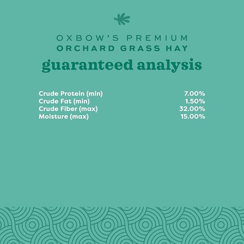 Oxbow Animal Health Orchard Grass Hay - All Natural Grass Hay for Chinchillas, Rabbits, Guinea Pigs, Hamsters & Gerbils - 15 oz.