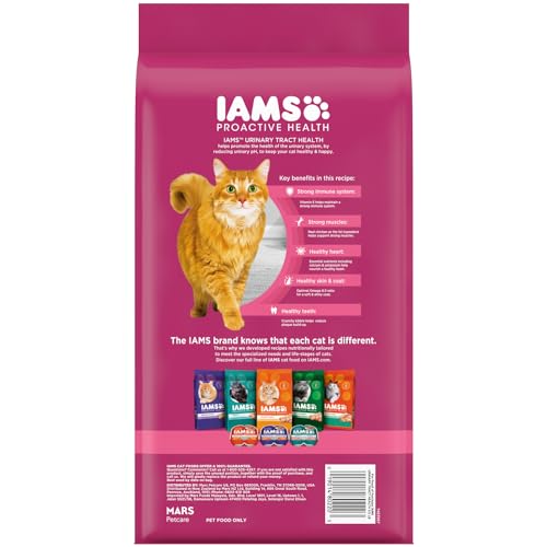 IAMS PROACTIVE HEALTH Adult Urinary Tract Healthy Dry Cat Food with Chicken Cat Kibble, 3.5 lb. Bag