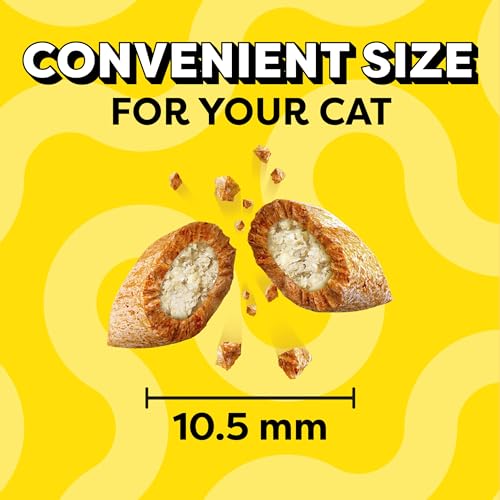 TEMPTATIONS Classic Crunchy and Soft Cat Treats Tasty Chicken Flavor, 16 Ounce (Pack of 1)
