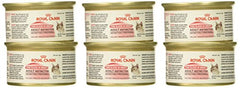 Royal Canin Adult Instinctive Thin Slices in Gravy Wet Cat Food, 3 oz can (6-pack)