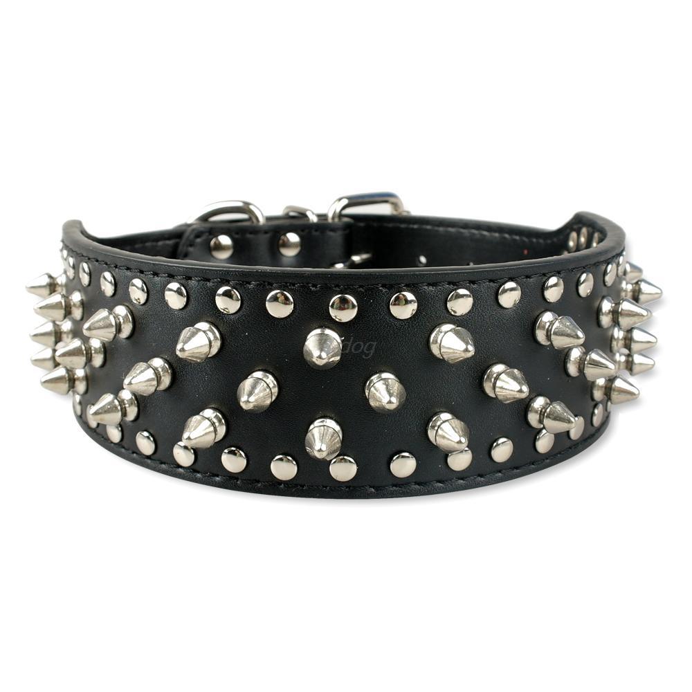 dog rivet collar