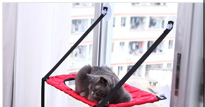 Cat Hammock