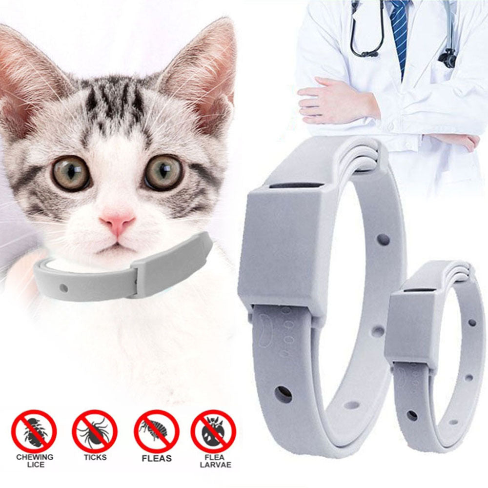 Pet Flea Collar