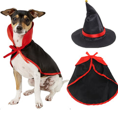 Halloween Pet costume