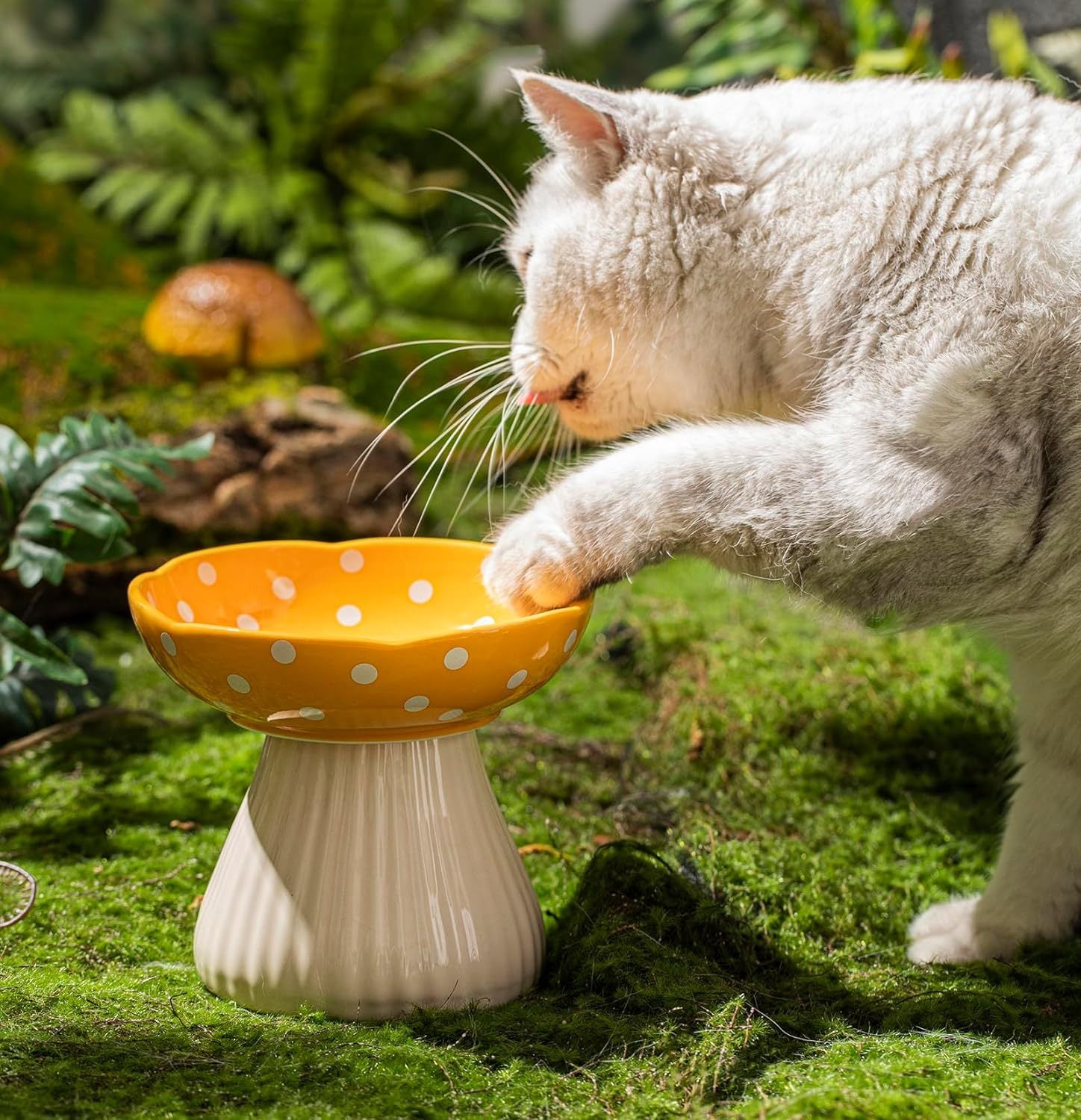 Mushroom Raised Cat Bowl