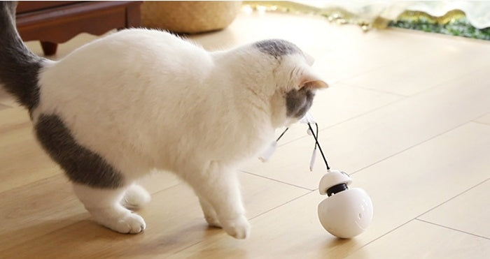 robot tumbler laser cat toy