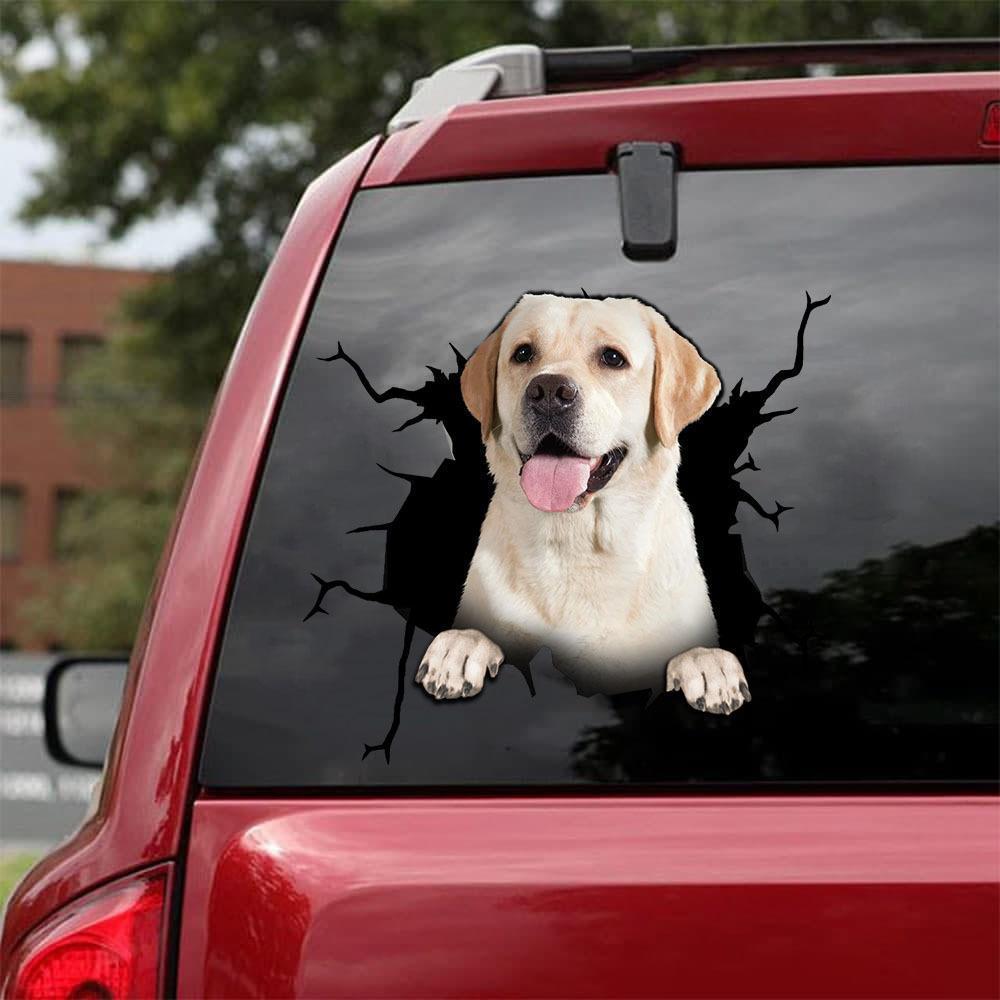 Animal Wall Stickers All Kinds Of Puppy Creative Hole Car Window Electrostatic