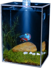 Fish tank creative transparent white square