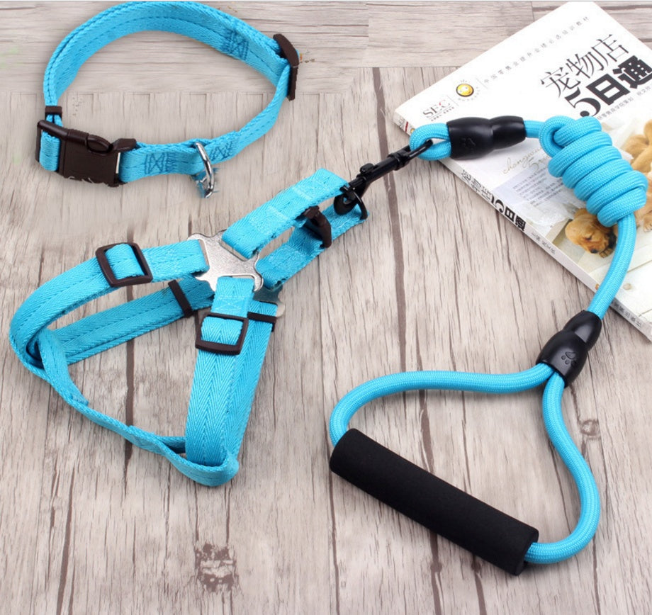 pet harness rope