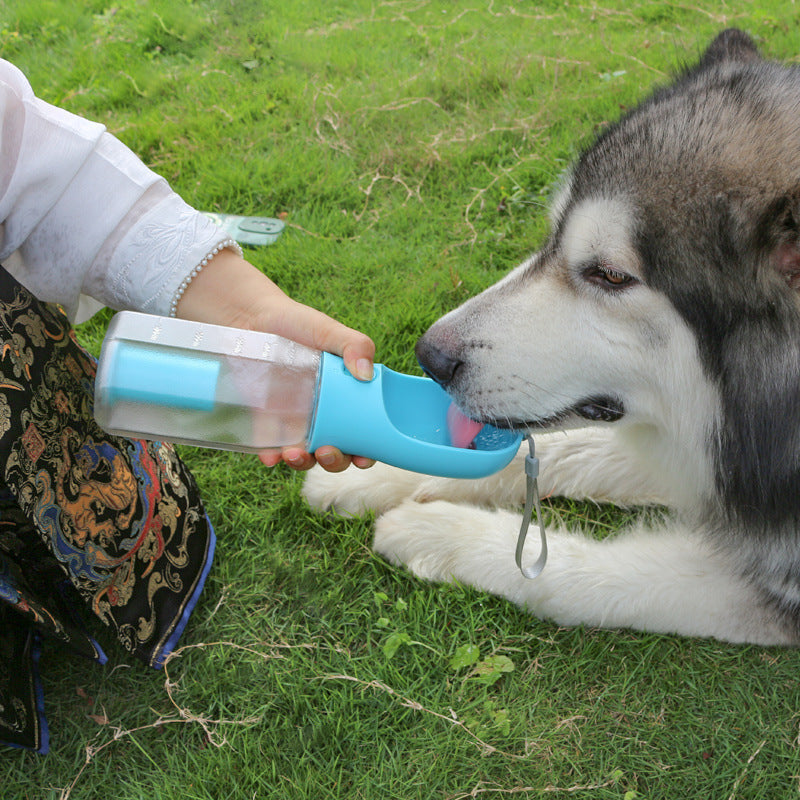 Pet Water Dispenser