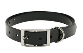 Collar Pet Supplies