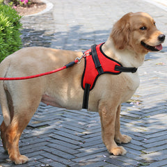 Dog chest strap