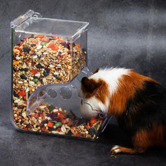 Food dispenser for hamsters