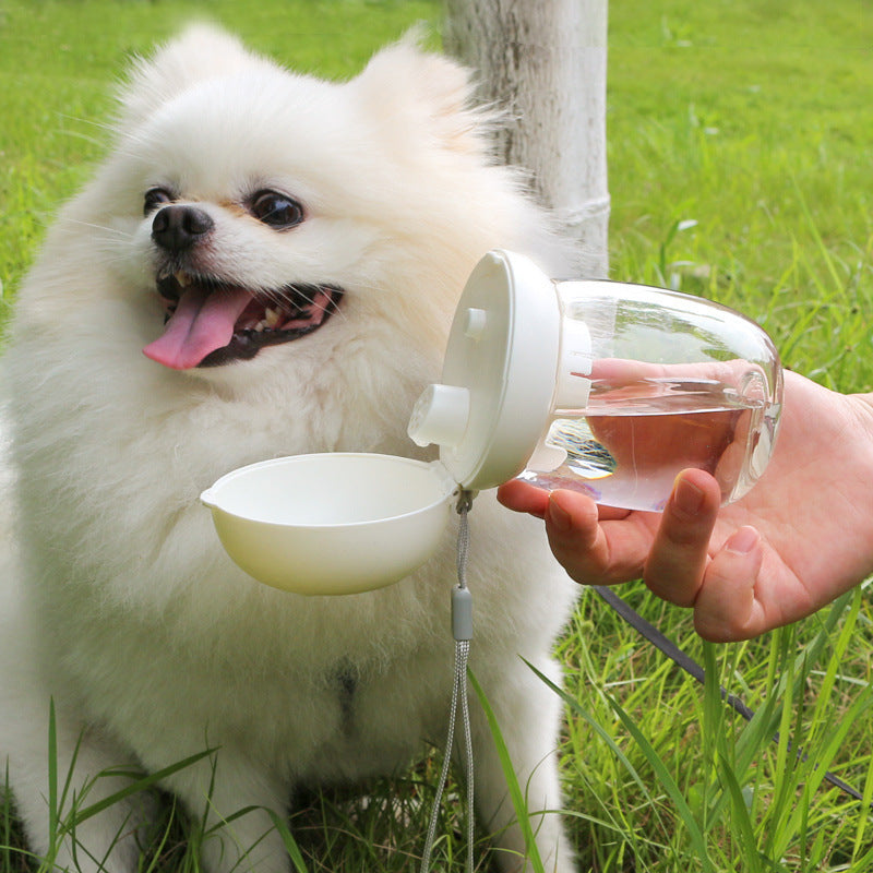 Pet Cat And Dog Outdoor Drinking