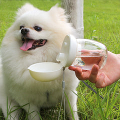 Pet Cat And Dog Outdoor Drinking