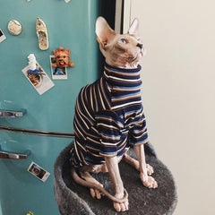 Pet clothes cute trendy brand