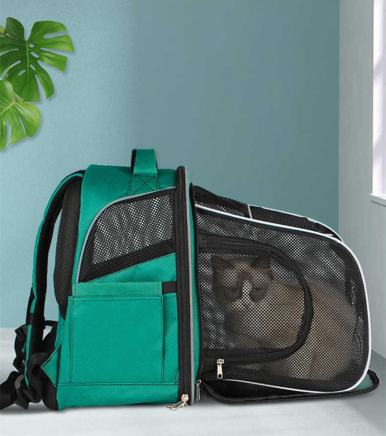 Pets Go Out Backpack