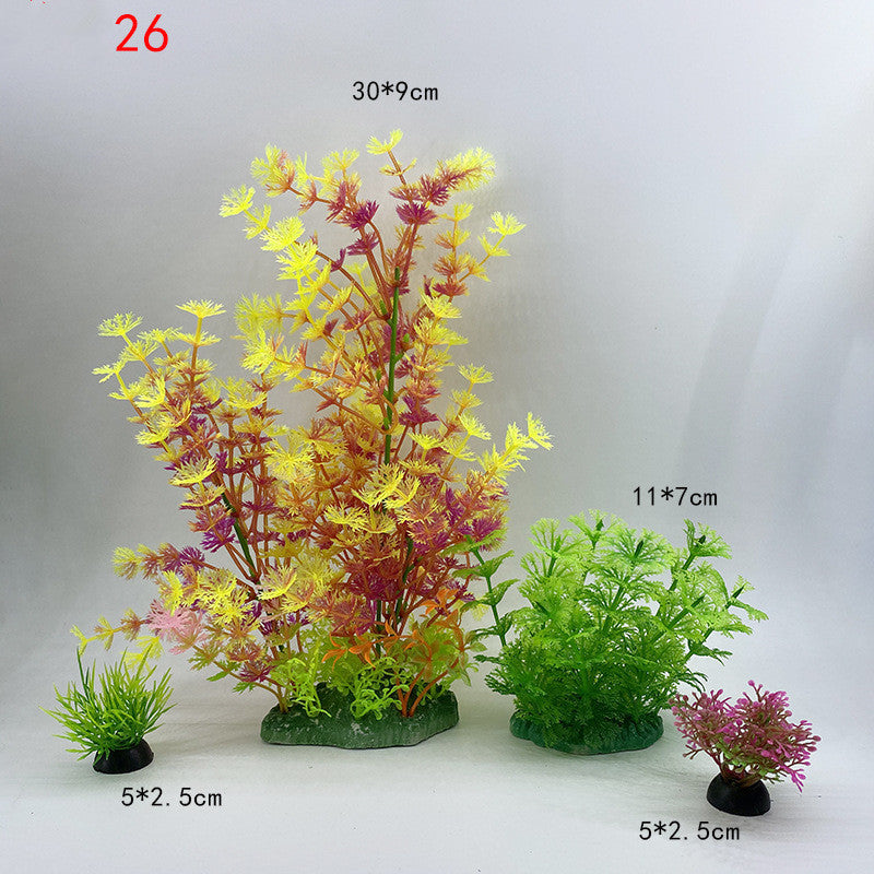 Plants for the aquarium