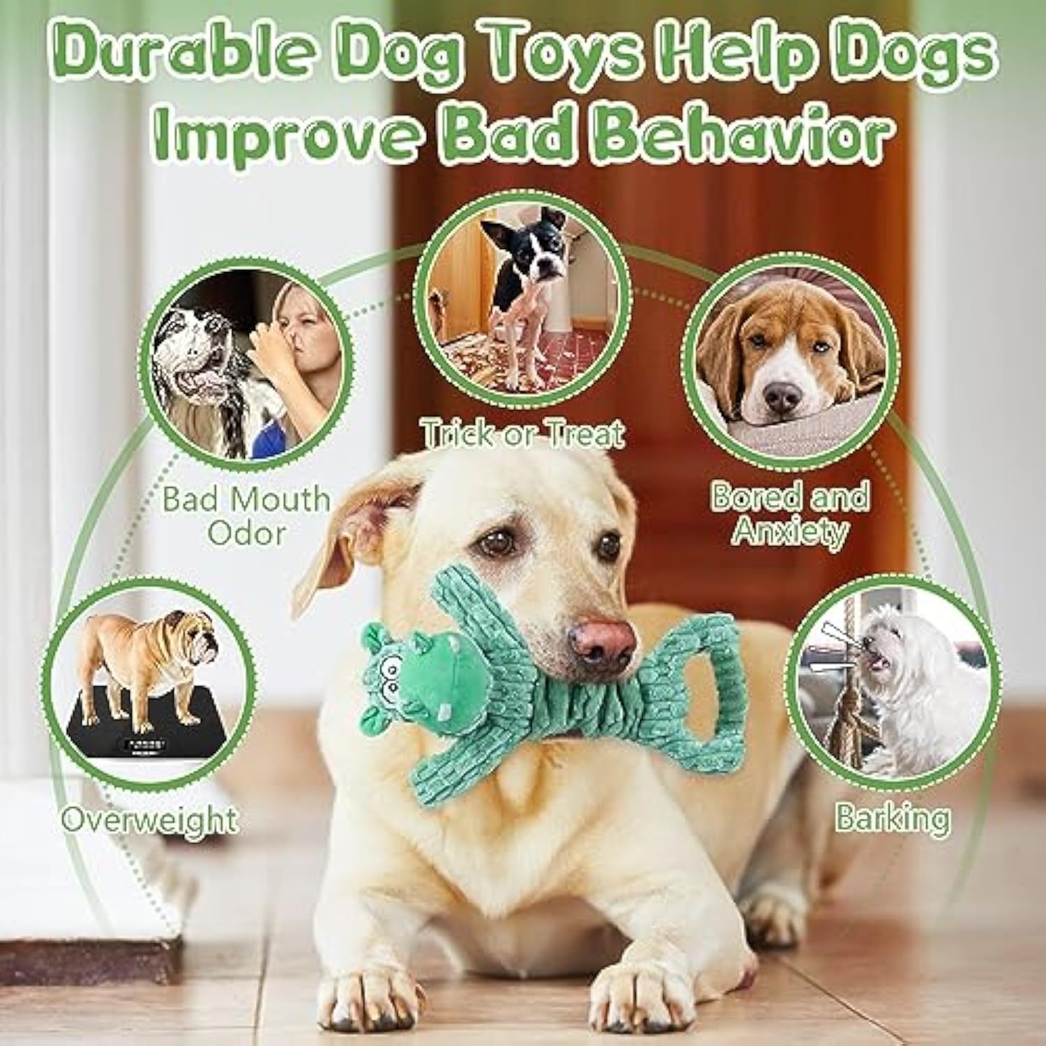 Large Squeaky Dog Toys