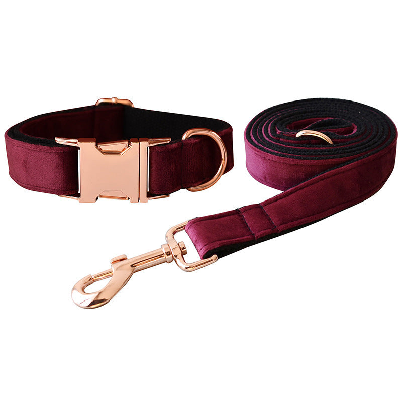 Designed dog leash and collar