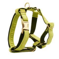 Pet Collar