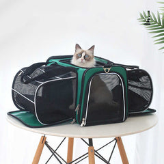 Pets Go Out Backpack