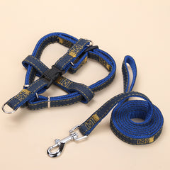 Pet Traction Collar