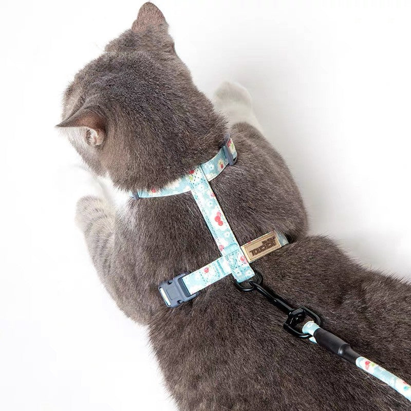 Walking leash for cats