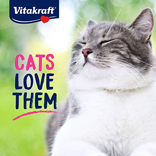 Vitakraft Lick 'n' Lap Salmon Flavor Creamy Treats for Cats, Low Calorie, Grab-n-Go Squeeze Tube Treats or Saucy Food Topping, 5 Pack