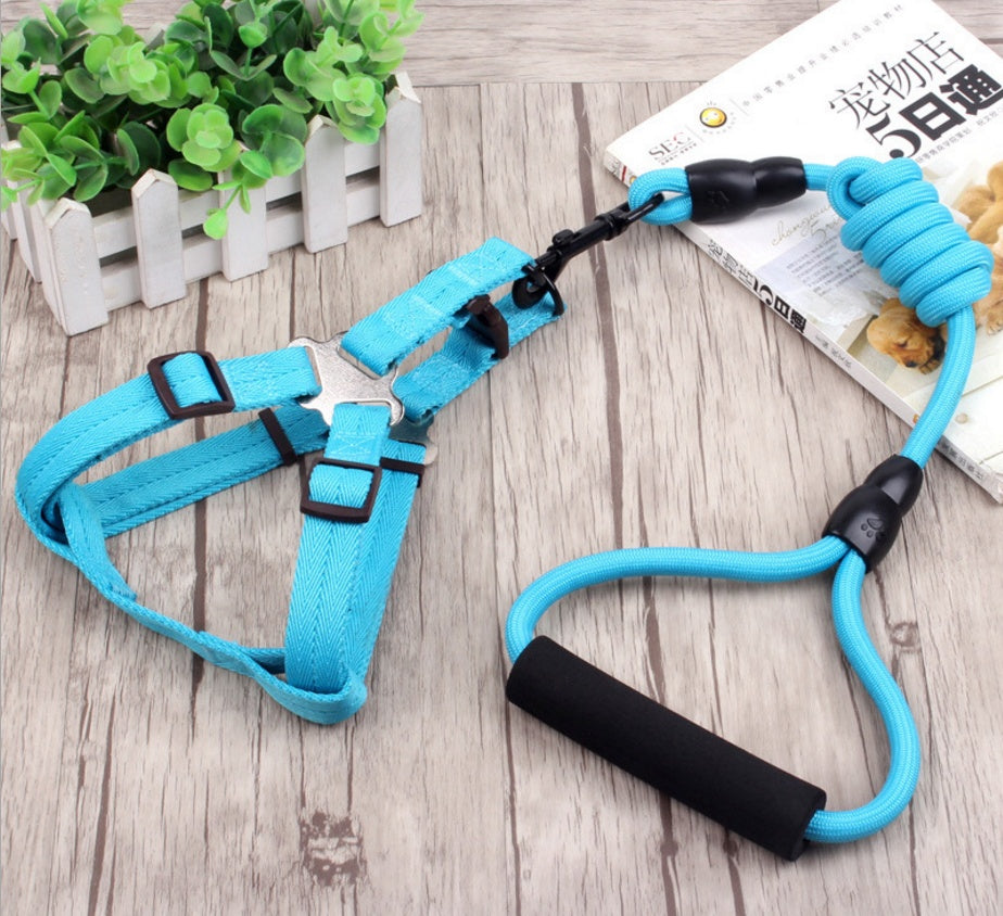 pet harness rope