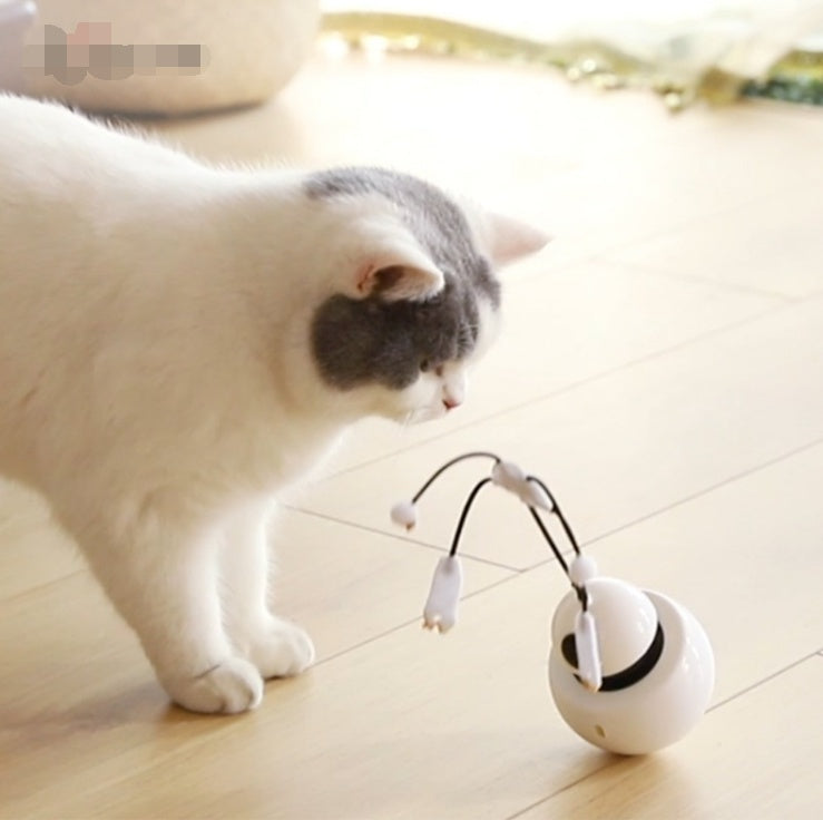 robot tumbler laser cat toy