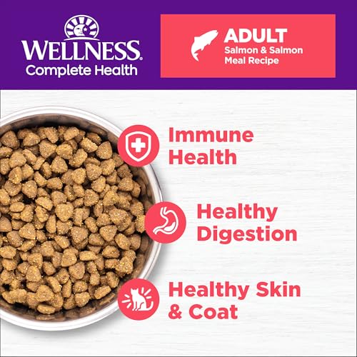 Wellness Complete Health Natural Dry Cat Food with Wholesome Grains, Made in USA with Real Meat (Adult, Salmon & Salmon Meal Recipe, 5-Pound Bag)