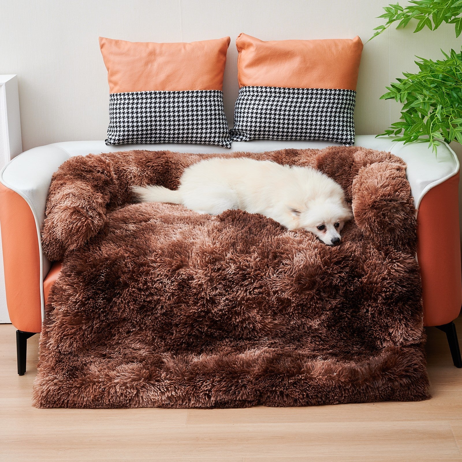 Pet Bed