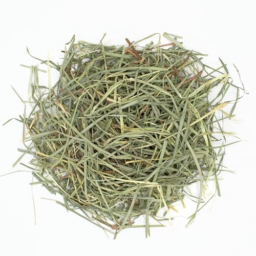 Oxbow Animal Health Orchard Grass Hay - All Natural Grass Hay for Chinchillas, Rabbits, Guinea Pigs, Hamsters & Gerbils - 15 oz.